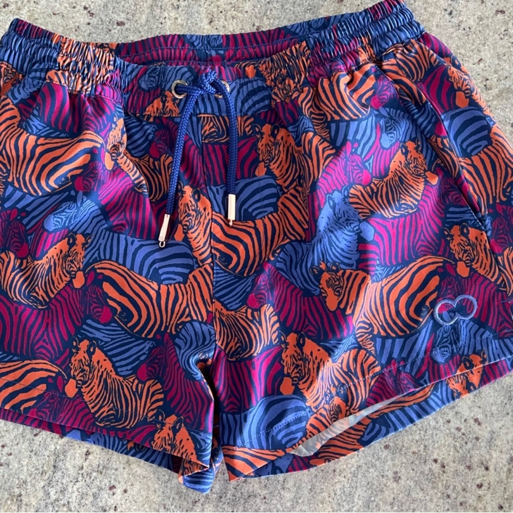 Vibrant Zebra Print Men’s Swim Shorts
